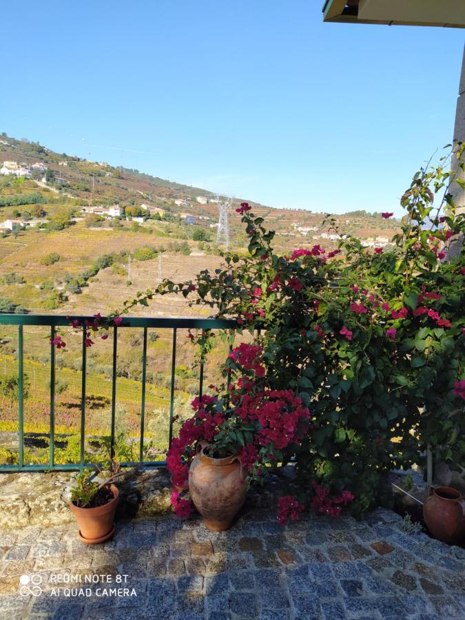 Quinta De Penelas Lamego Exterior foto