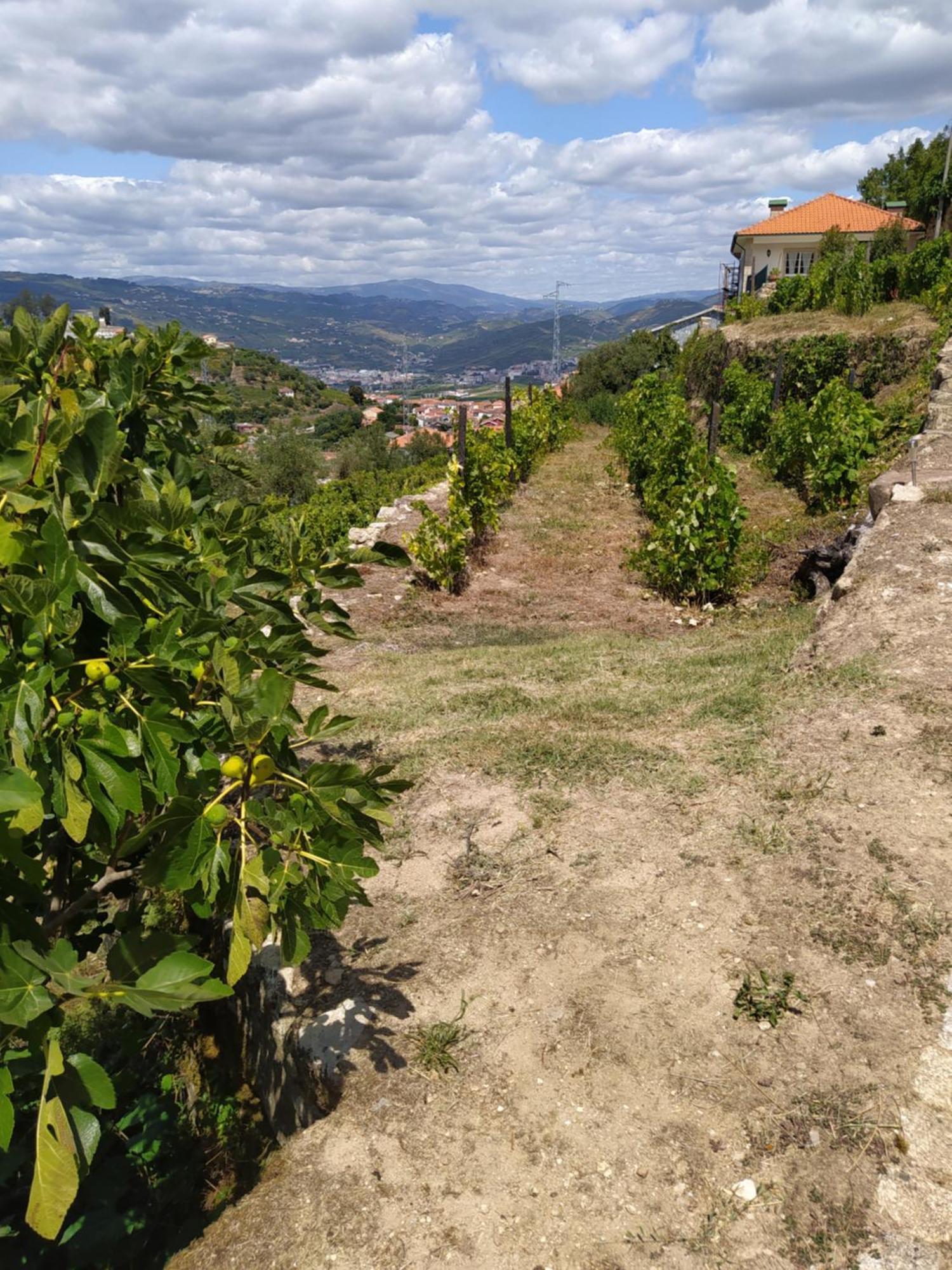 Quinta De Penelas Lamego Exterior foto